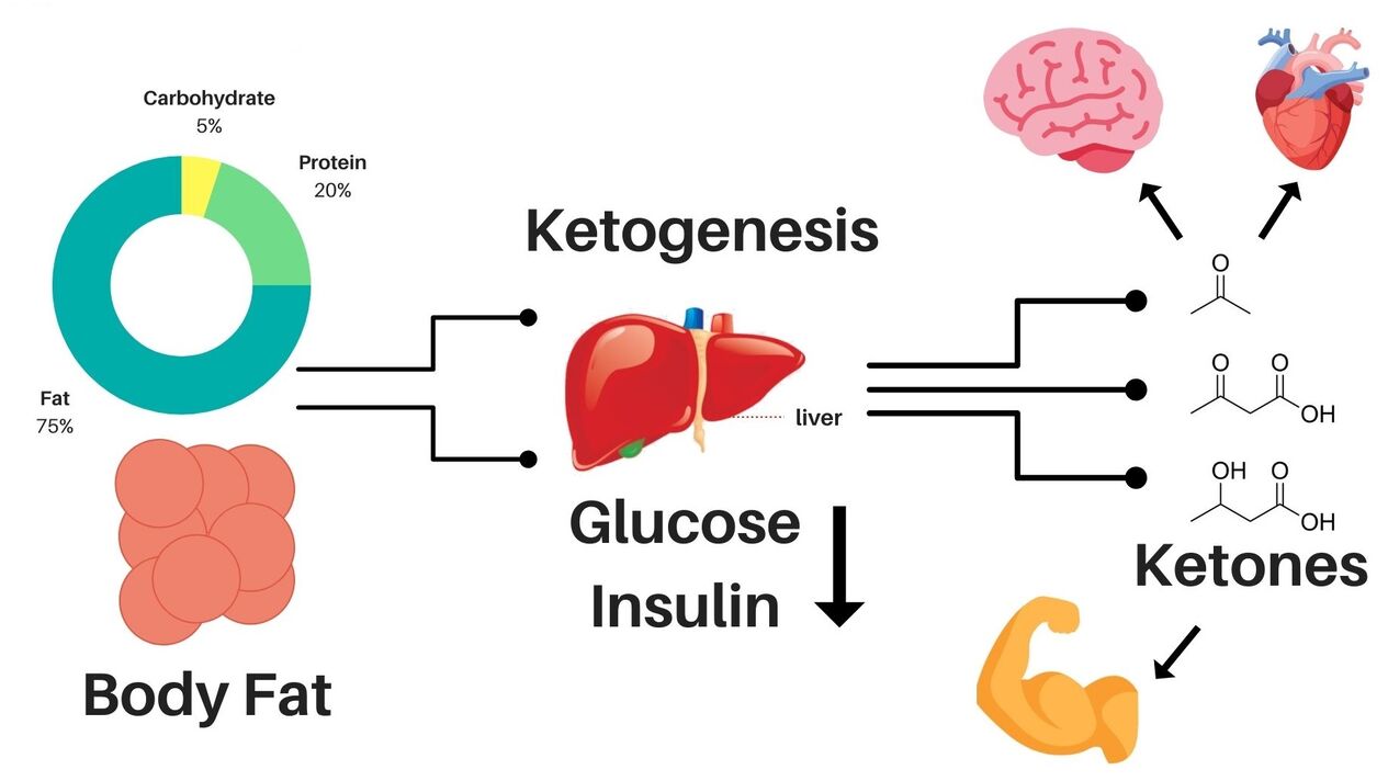 Delislim allows you to lose weight and provides you with energy